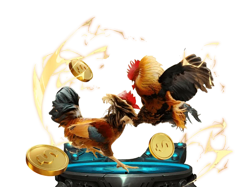 Hoàn trả hàng ngày/tuần cho đá gà